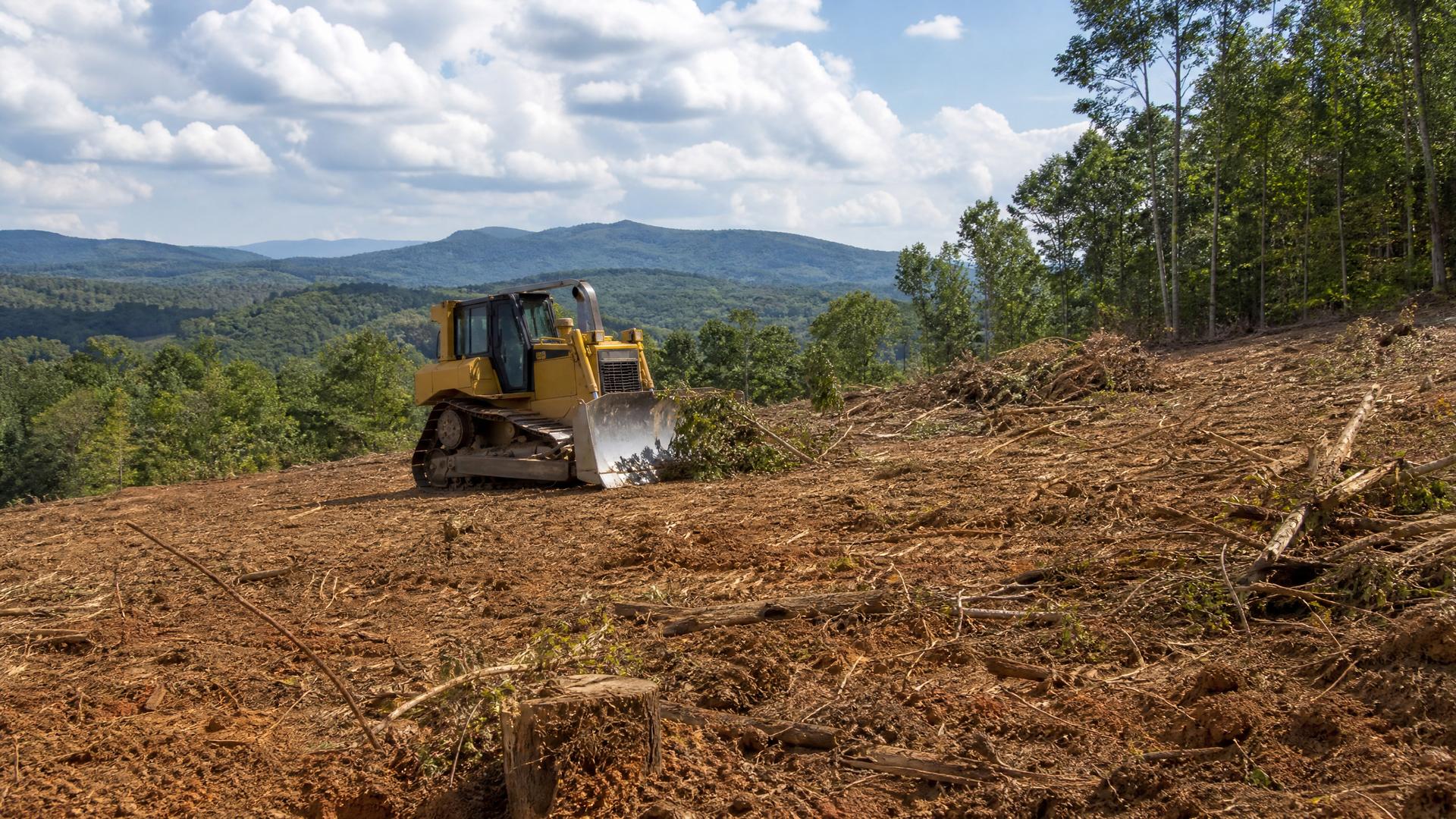 Land Clearing